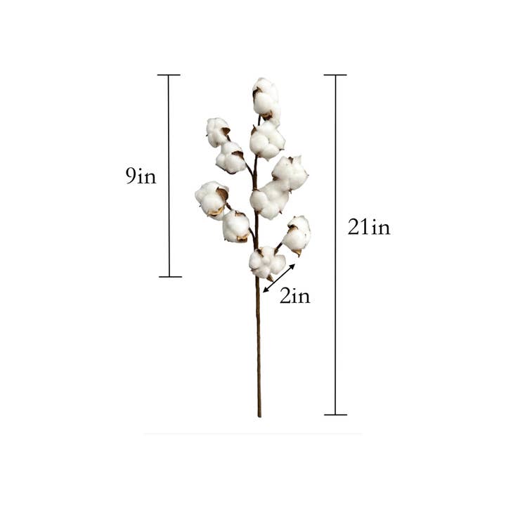 Angel Isabella - Wholesale Artificial Flowers - 21"High Quality Cotton Stem-10 Large Cotton blossoms