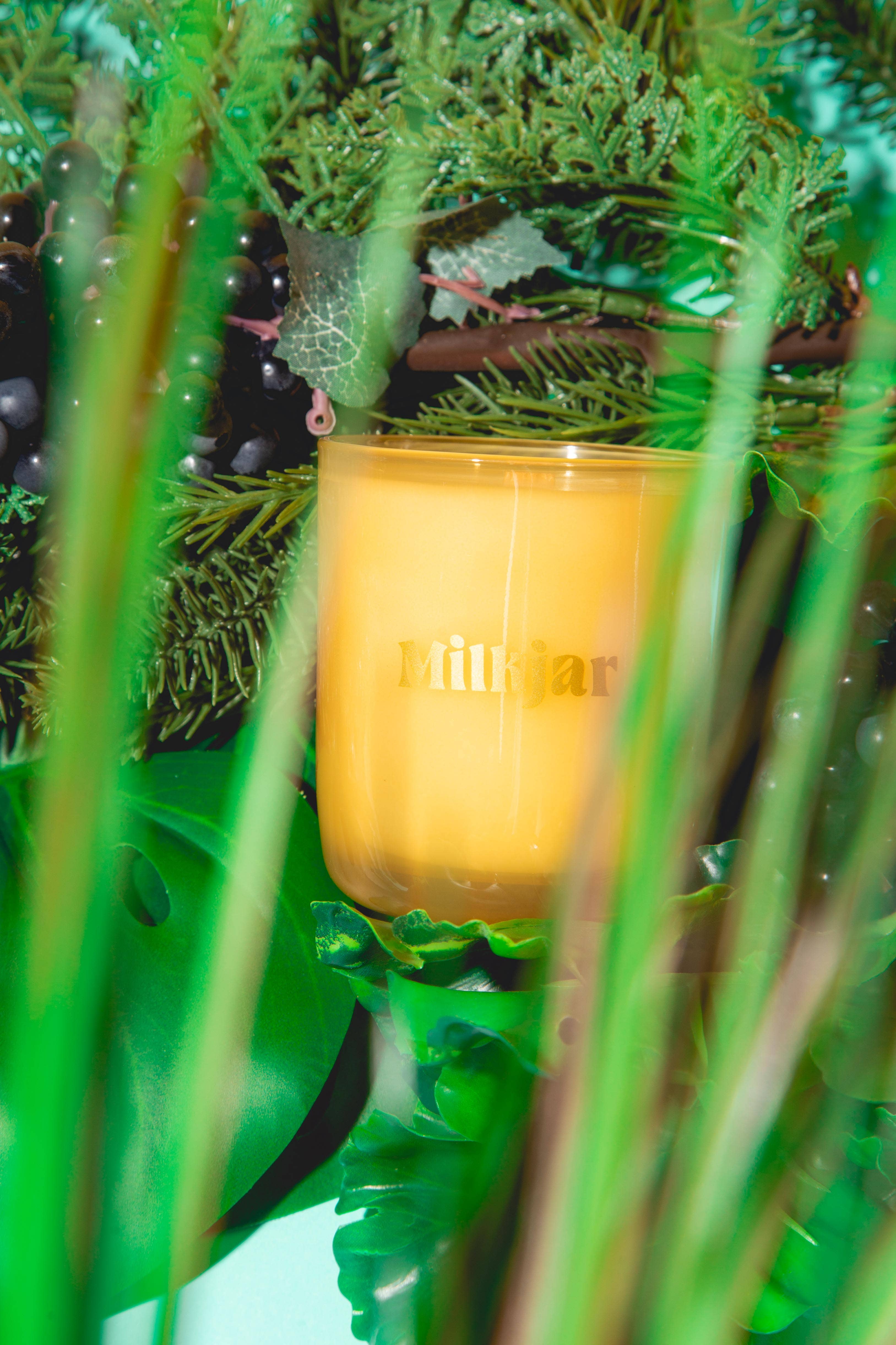 Milk Jar Candle Co. - Wholesale Jar/Filled Candle - Garden State - Cedar & Cassis Coconut Soy 8oz Candle3