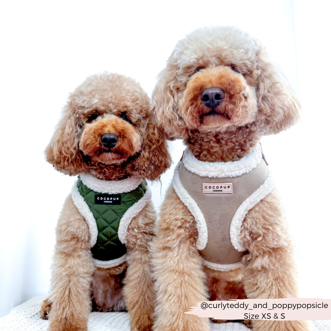 Cocopup London - Wholesale Pet Harness - Dog - Nude Aviator Adjustable Neck Harness20