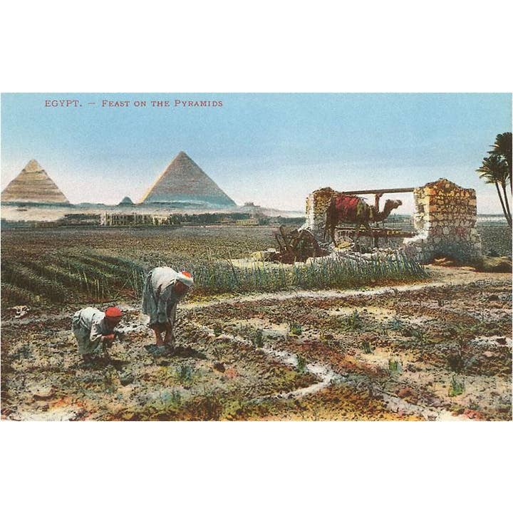 Found Image Press – wholesale Kontorsmateriel/Notecard Set – Gratulationskort EG-21 Jordbruk vid Nilen, Pyramiderna, Egypten