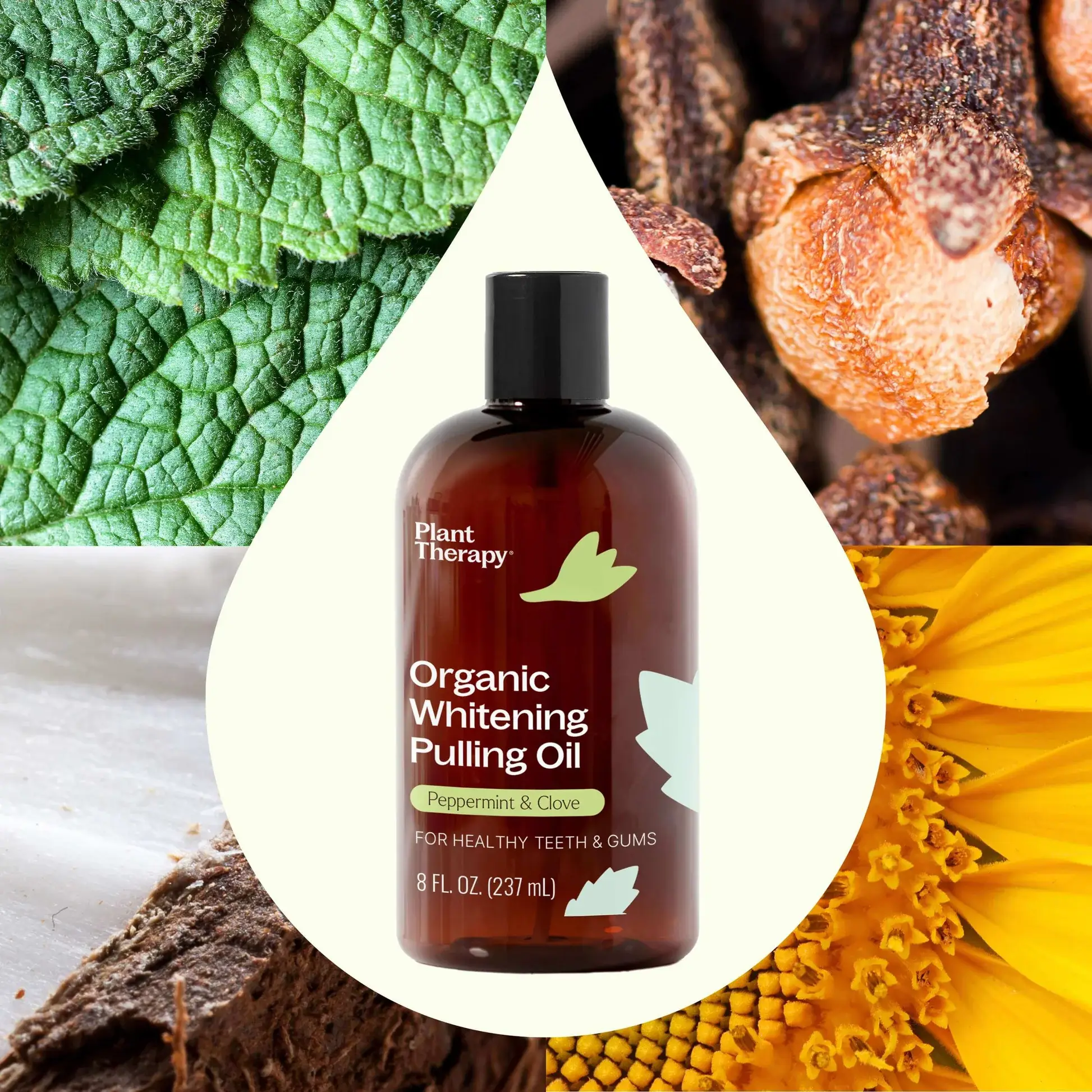 Plant Therapy - Vente Produit de blanchiment des dents - Huile de Blanchiment Bio 8 oz1