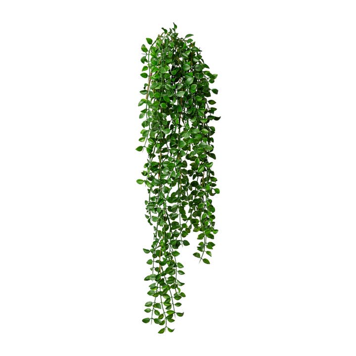 Columnea pendente 1/poly, 86 cm, verde por atacado de GASPER GmbH