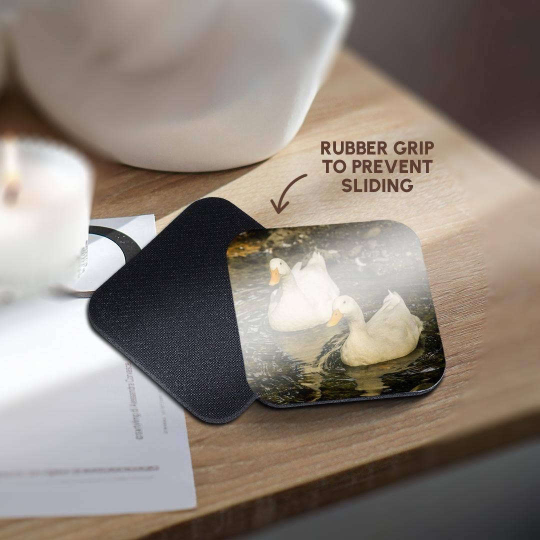 3dRose - Wholesale Coasters - 3dRose, Domestic free-range Pekin ducks swimming in a stream by their farm., Coaster10