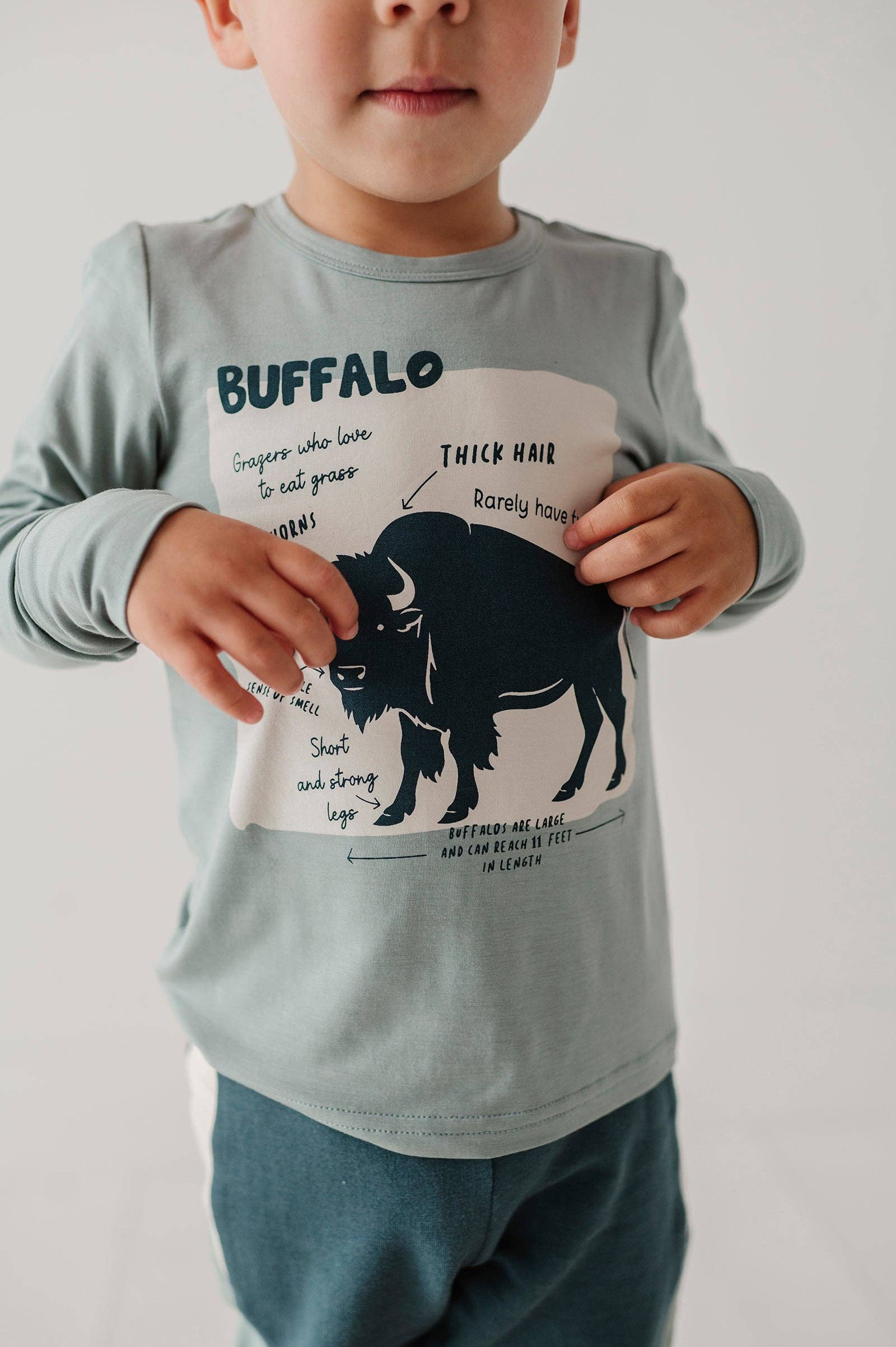 babysprouts clothing company - Wholesale Screen Printed T-Shirt - Kids - Babysprouts Boy's Long Sleeve Tee14