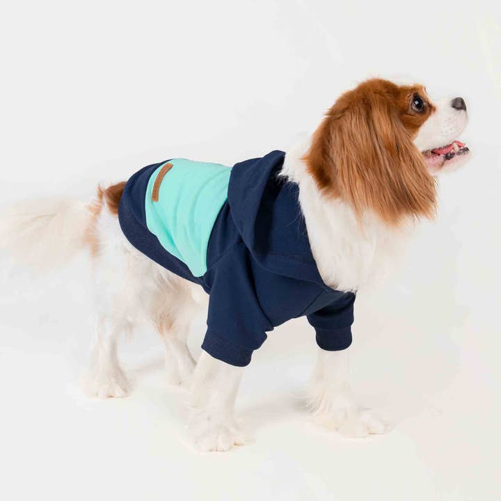 Fitwarm - Wholesale Pet hoodie – Dog - Color Block Dog Hoodie2