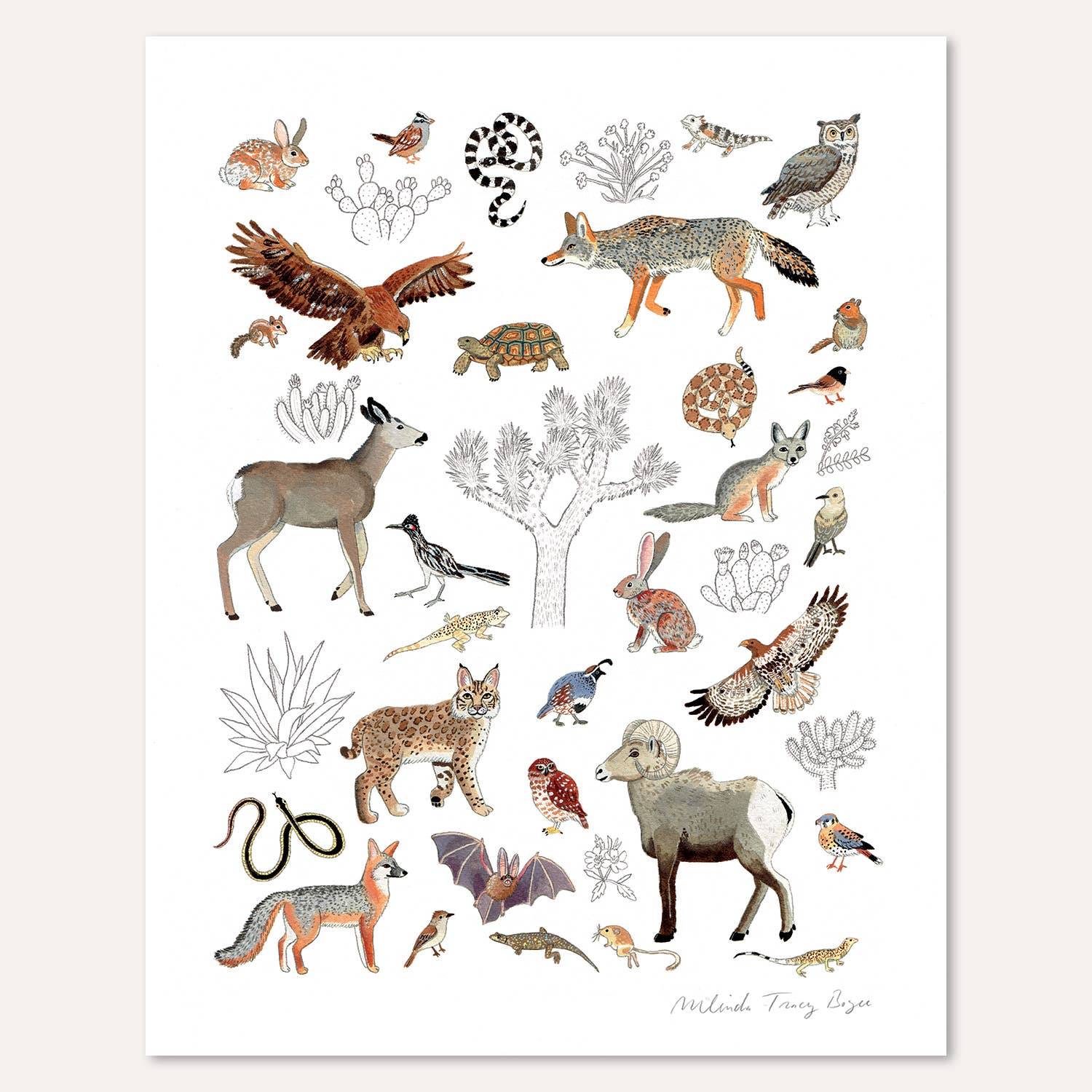 Party Mouse Studio - Wholesale Art Print - Joshua Tree Animalia Print1