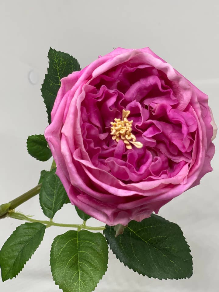 Eixo Único Toque Peony Rosa Quente por atacado de JKF & Co Pty Ltd