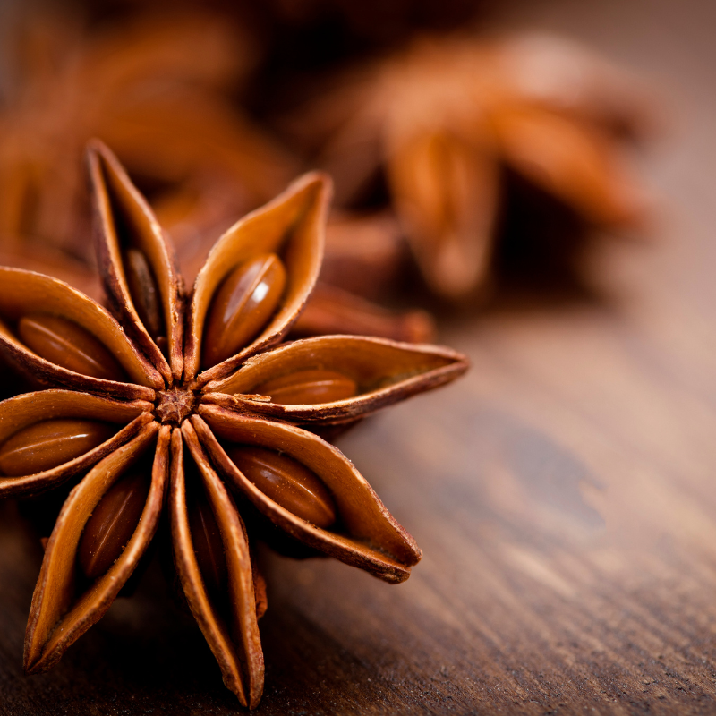ADAL TERRA - Wholesale Dried Spice - Organic Star Anise0