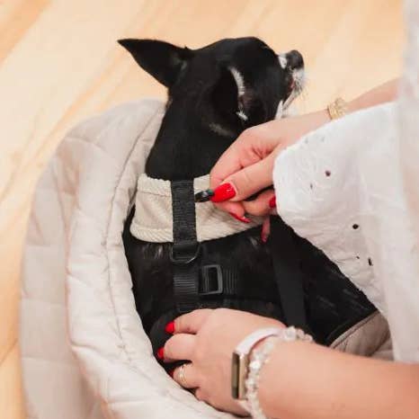 FuzzYard Life Sling Carrier - Sandstone for wholesale by In Vogue Pets