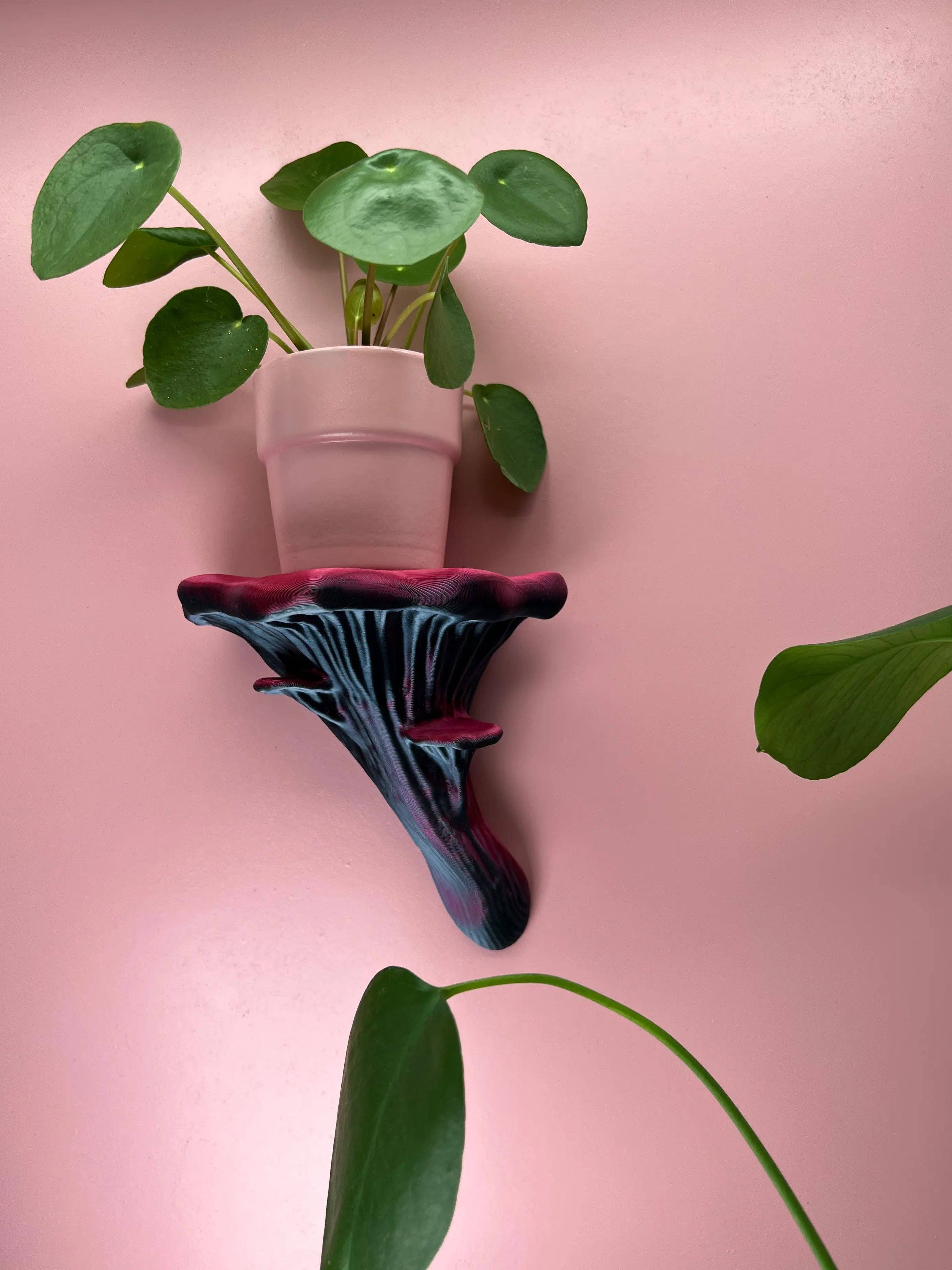 Roomberry - Wholesale Wall Mounted Shelf - Floating Oyster Mushroom Wall Shelf11