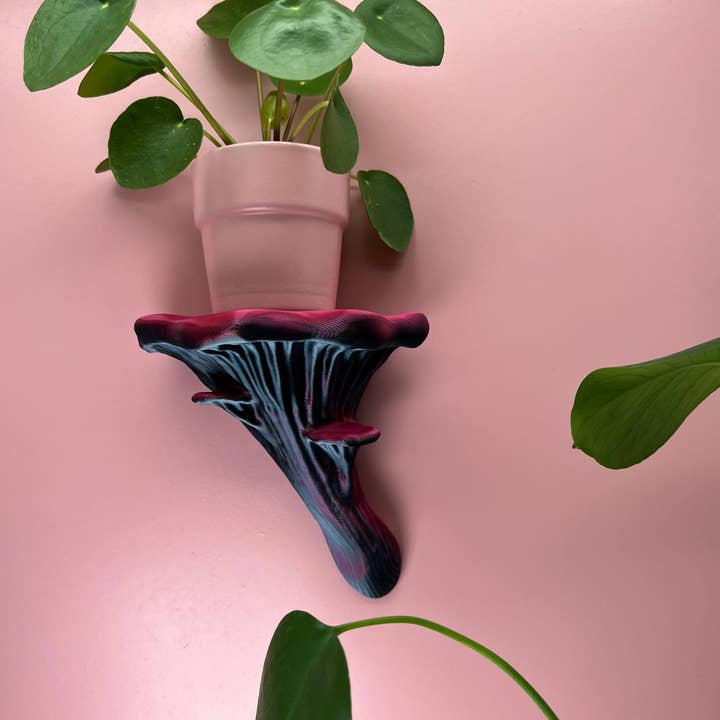 Roomberry - Wholesale Wall Mounted Shelf - Floating Oyster Mushroom Wall Shelf11