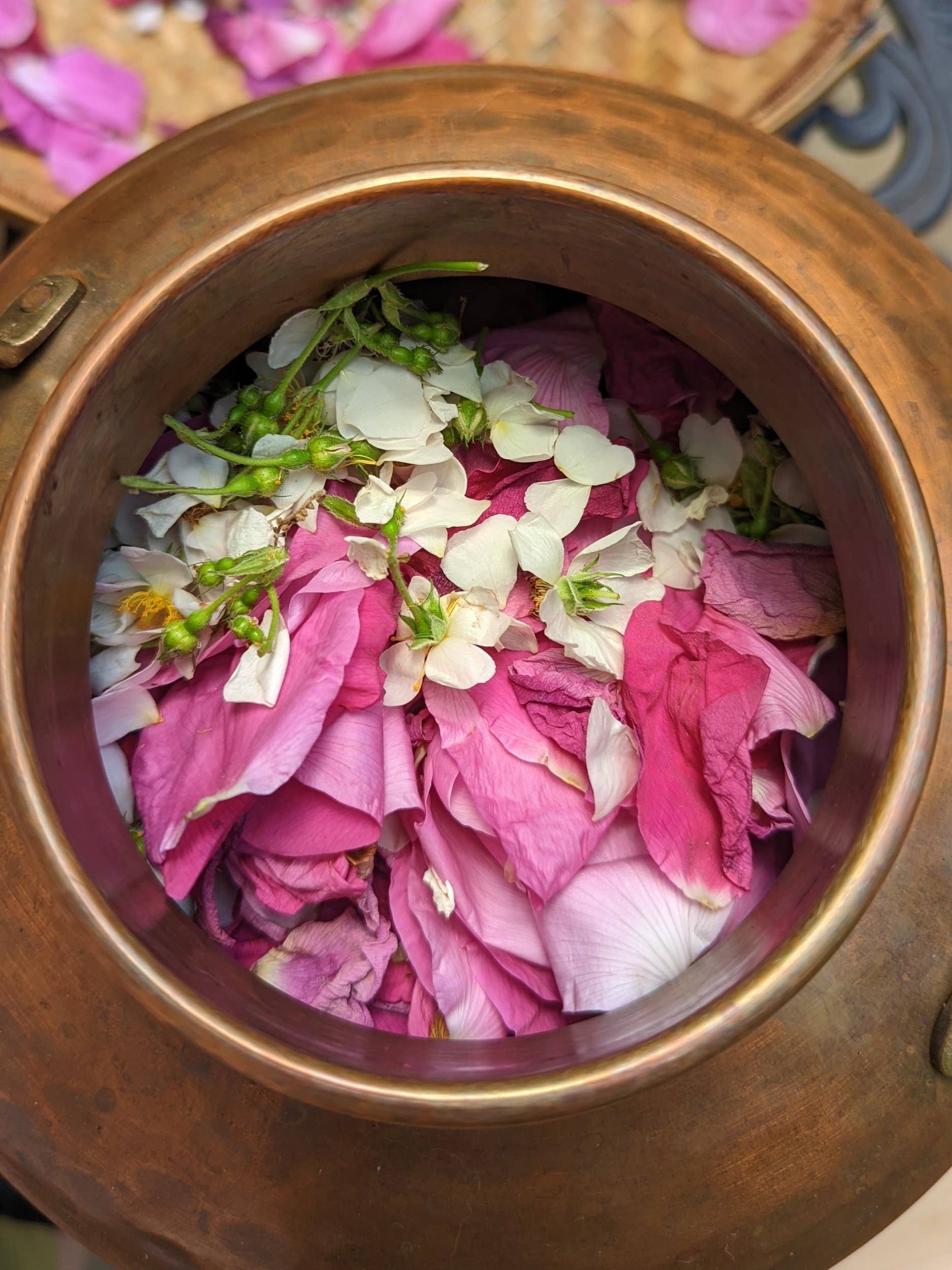 Rowan + Sage - Wholesale Face & Body Mist/Water - Holy Rose Hydrosol Mist2