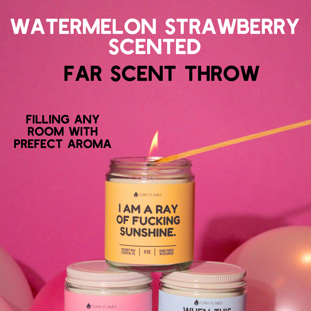 Funny Flames Candle Co - Les Creme – wholesale Jar/filled candle – I Am A Ray Of F*cking Sunshine - Funny Flames Candle2