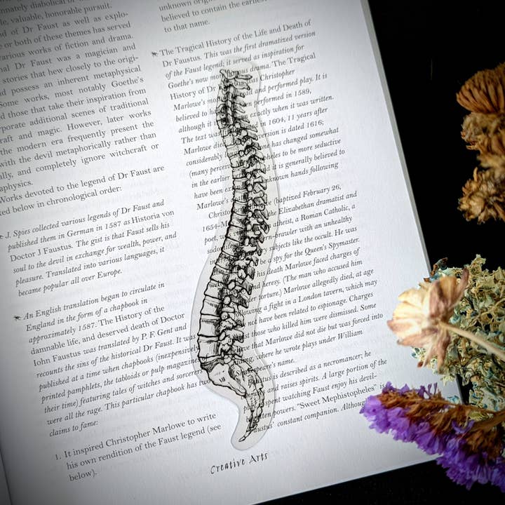 Marcador claro - Ossos da medula espinhal da coluna vertebral gótico gótico por atacado de Dark Veinlet