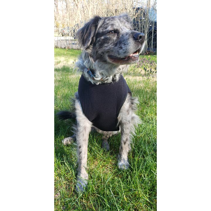 Healers PetCare - Wholesale Pet Coat - Dog - Healers Therapeutic & Anxiety Front Body Wrap11