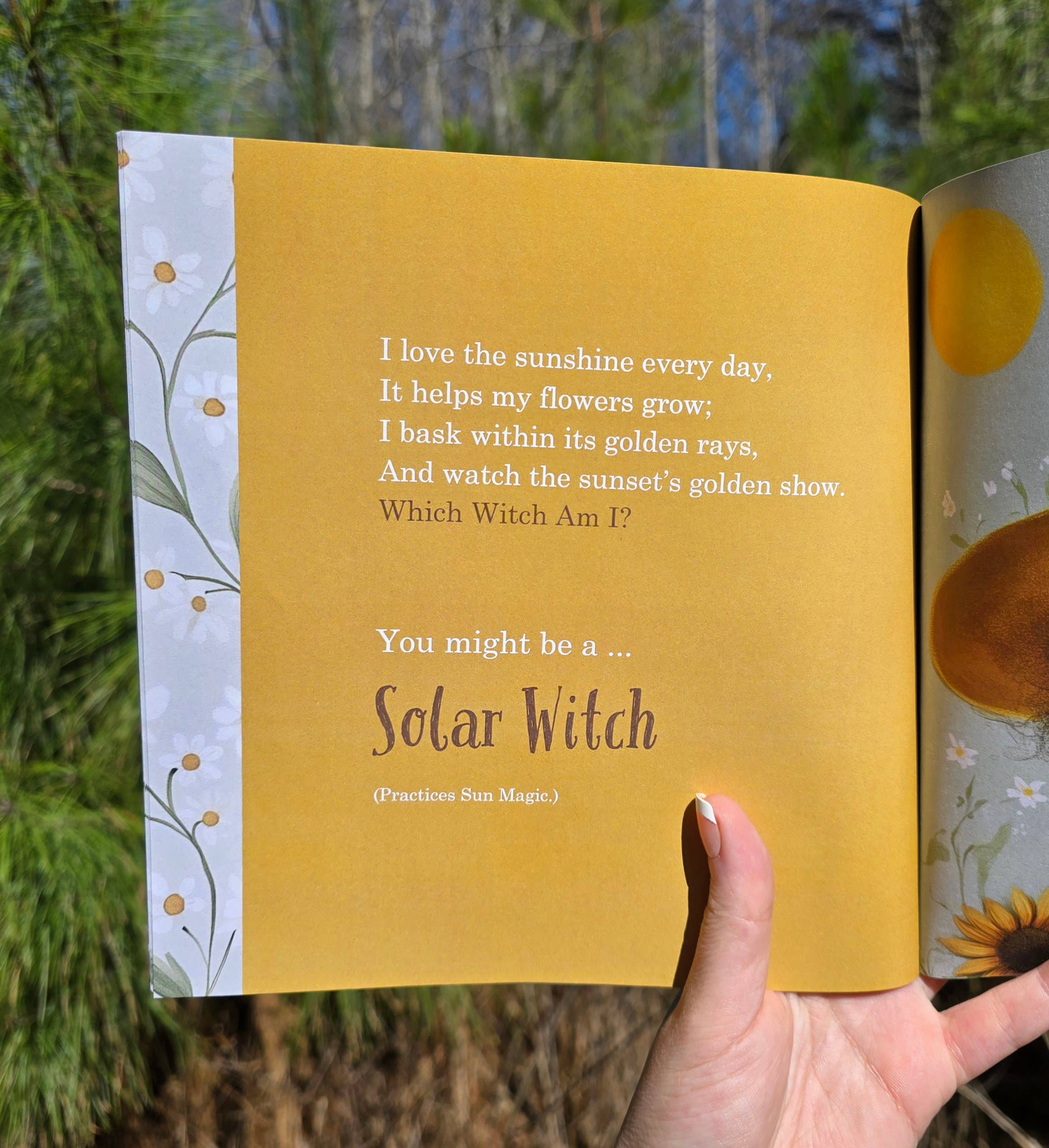 Author Linda Blackmoor - Wholesale Preschool Book (3-5) - Which Witch Am I?5