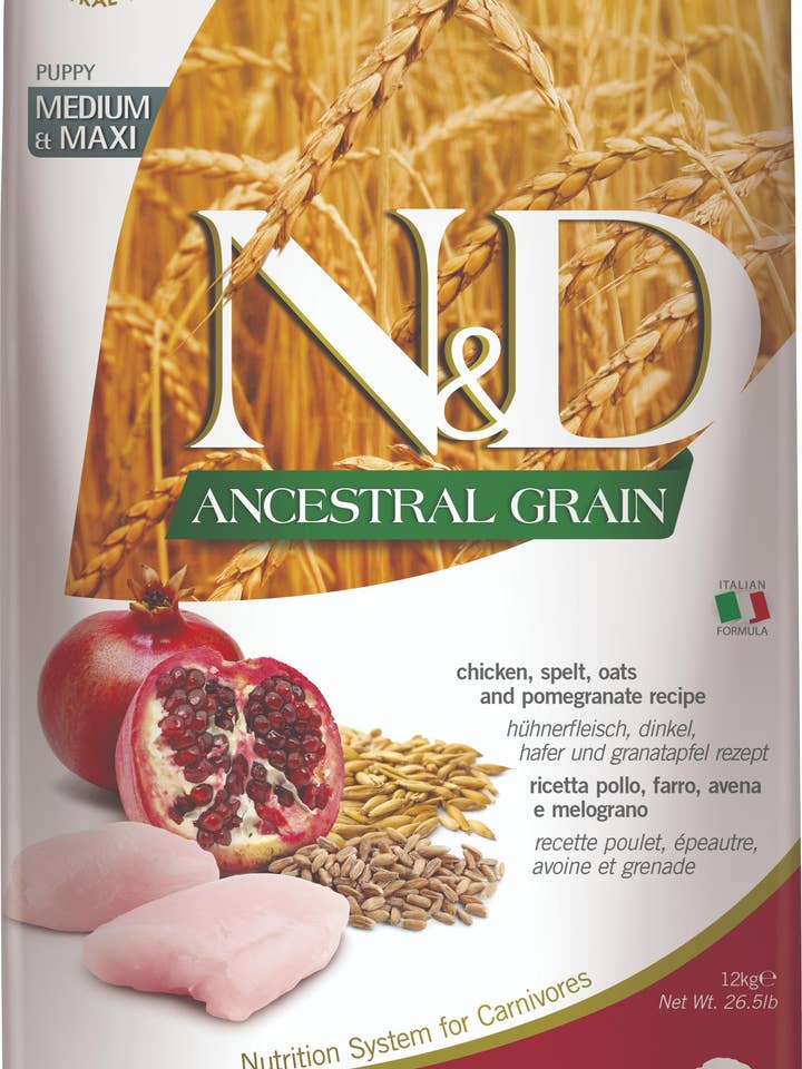 N&D Ancestral Grain Kyllingehvalp Medi/Maxi 12 kg. for engroshandel hos Finest Petfoods