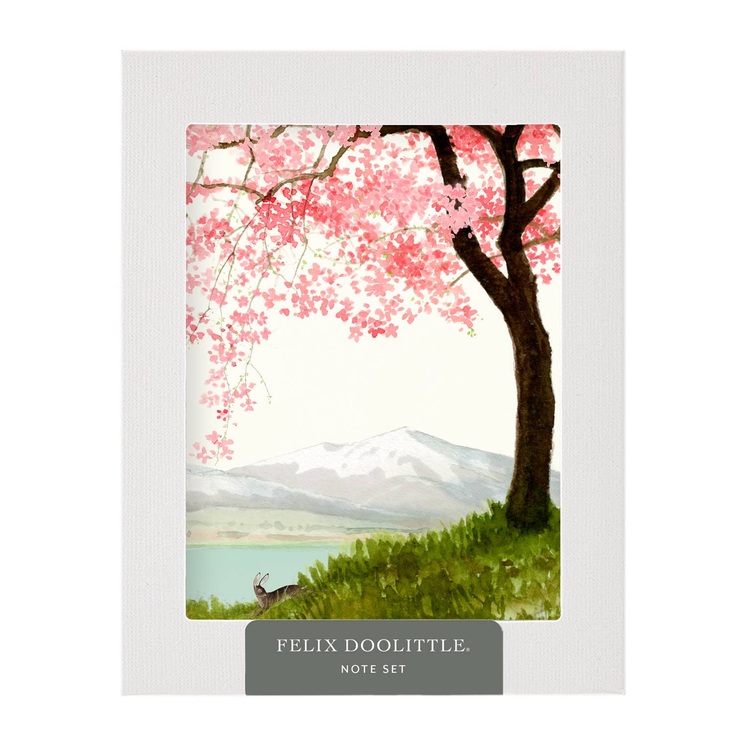 Felix Doolittle - Wholesale Stationery/Notecard Set - Trees -- Note Set - Themed cards, boxed1