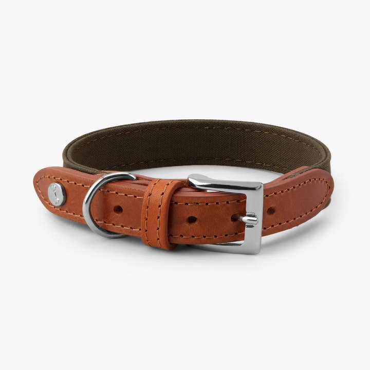 Hundehalsband Signature Cognac & Khaki für den Großhandel von Denjo Dogs