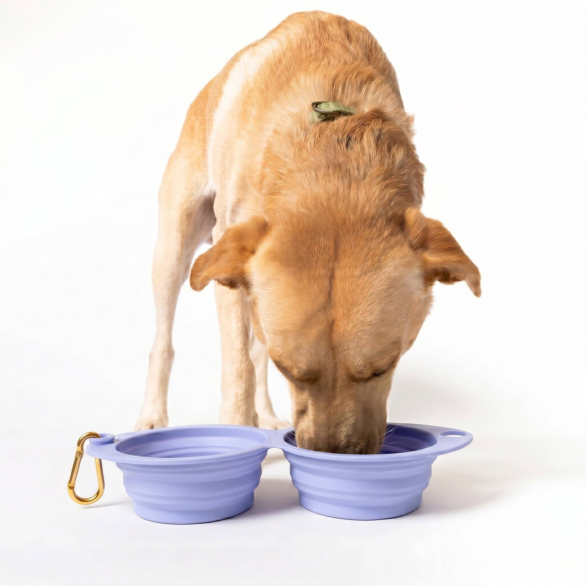 Awoo - Wholesale Pet Bowl - Cat/Dog - Snack Attack Collapsible Travel Bowl2