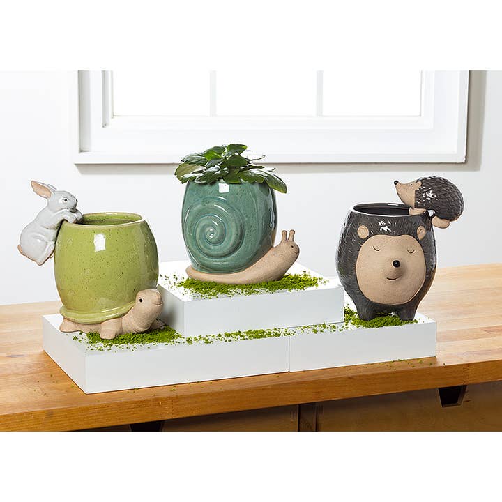 Abbott - Wholesale Hanging Planter - Climbing Hedgehog Pot Hanger-3.5"L-849