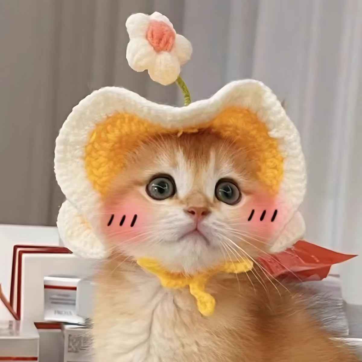 PAWPAWwholesale - Wholesale Pet Hat - Dog - Crochet Flower Sprout Hat for Cats & Dogs_CWAH36947