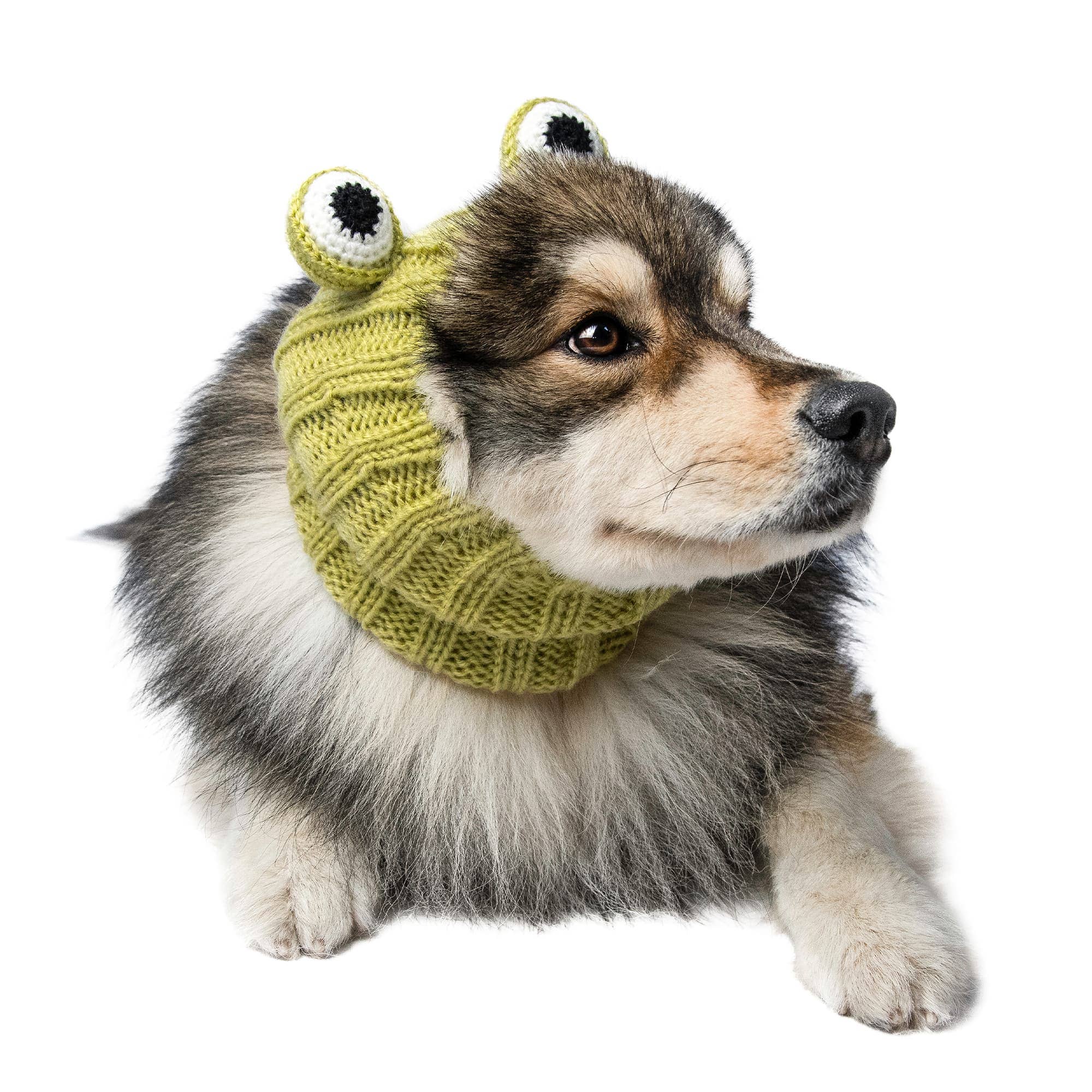 Zoo Snoods - Wholesale Pet Snood - Dog - Frog Dog Snood10