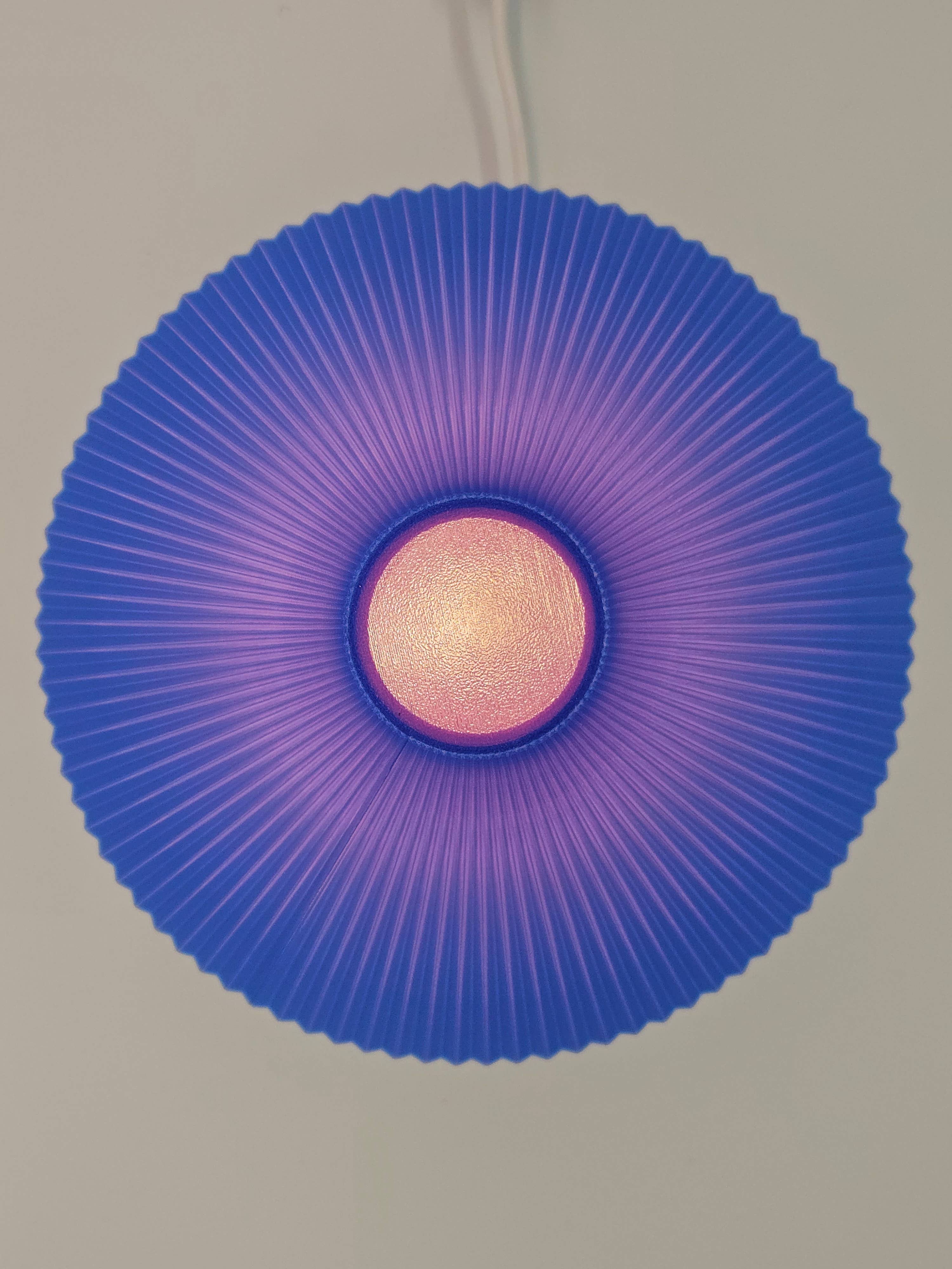 Coast Fig - Vendita all'ingrosso Lampada da scrivania/d'accento - Lampada da tavolo Straigt shroom (Rosa vibrante-Blu)2