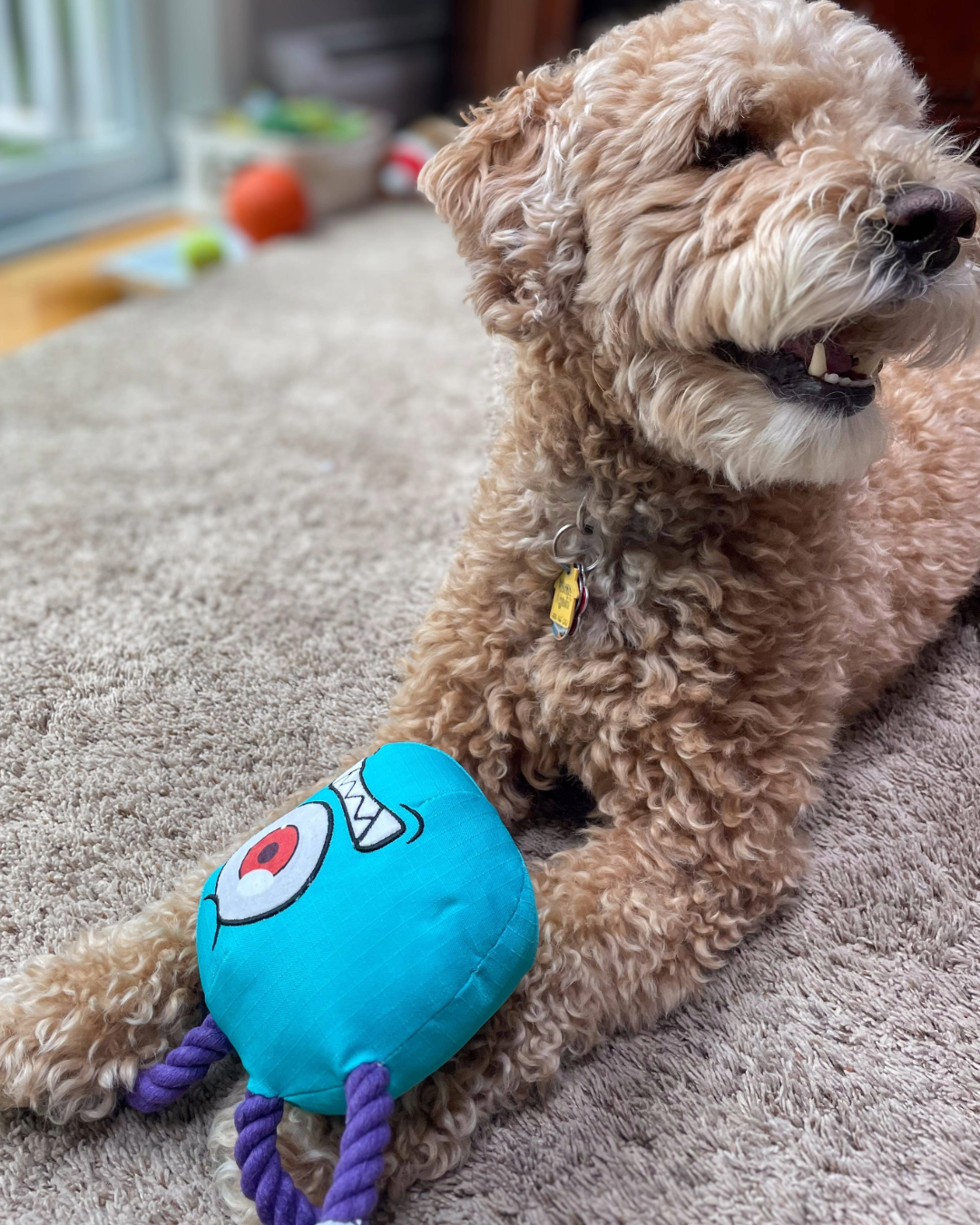 Pawlymorph Pet Toys - Wholesale Pet Plush Toy - Dog - The BeSlobber1