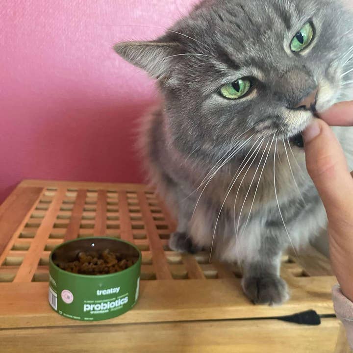 Treatsy - Wholesale Pet Supplement - Cat - Cat Probiotics Supplement | Vet recommended | Fish & Chicken8