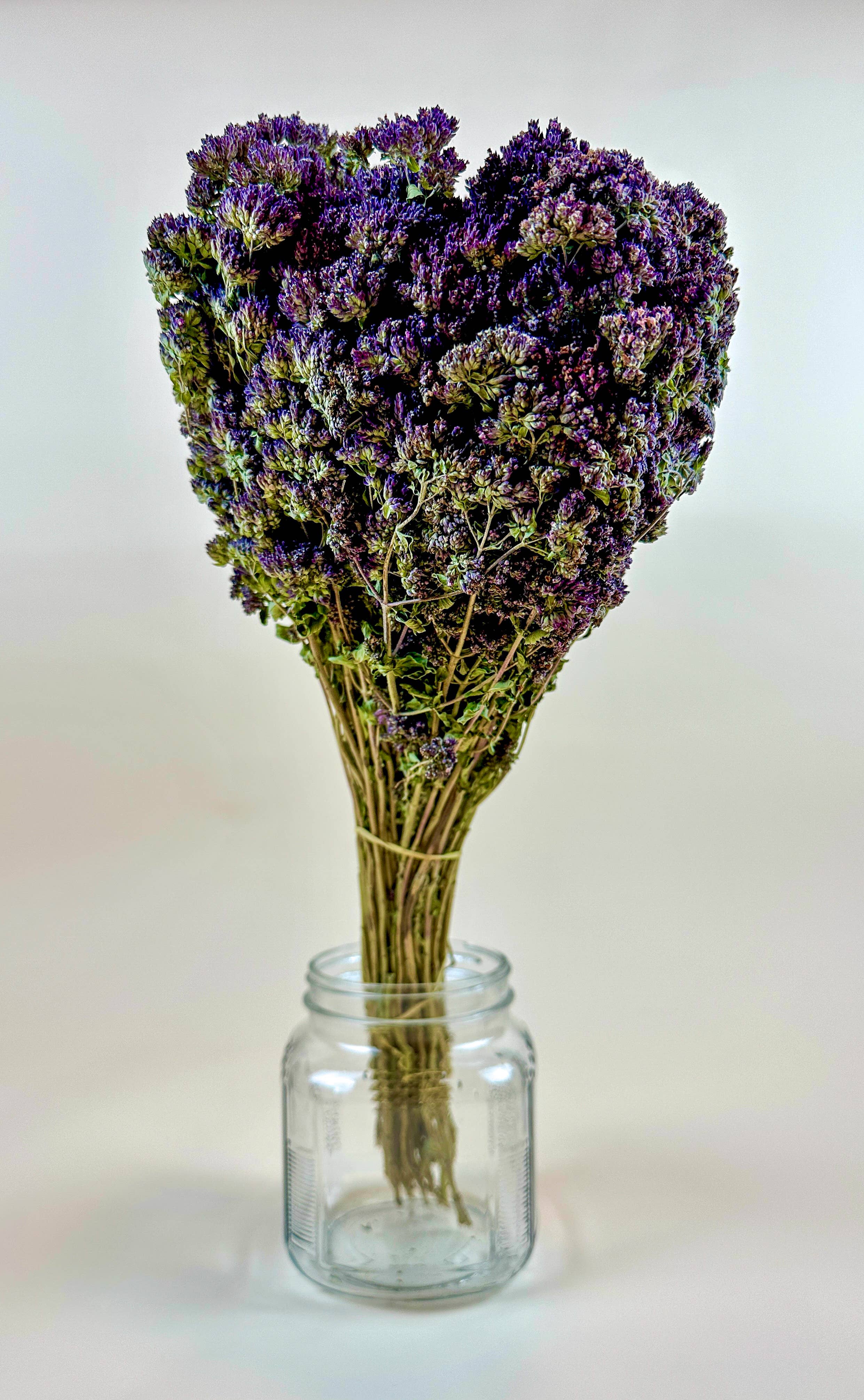 Lovejoy Farms Premium Dried Flowers - Venta al por mayor Flores secas/prensadas - Orégano Griego de Flor Púrpura – Naturalmente Secado2