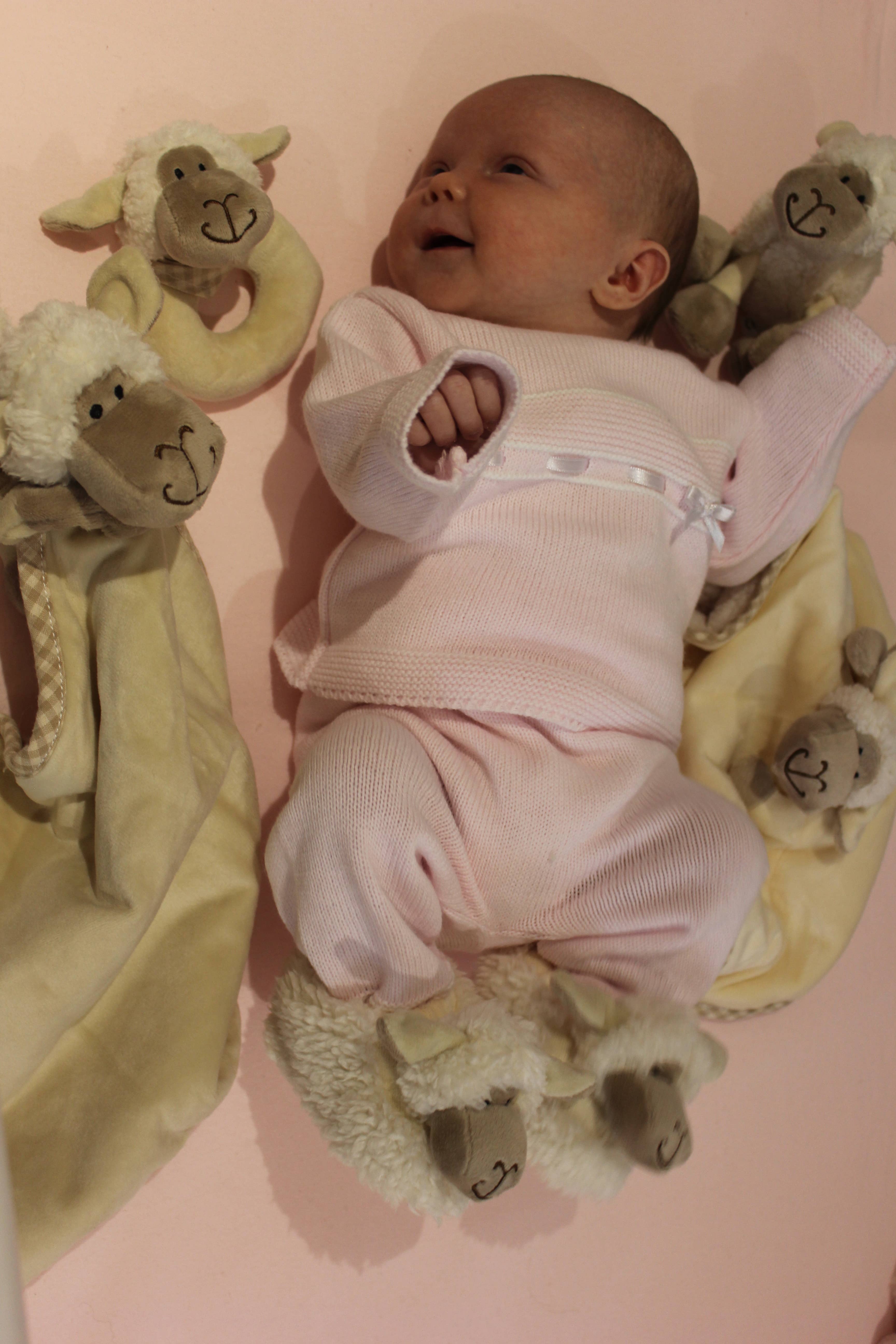 Jomanda Soft Toys & Accessories - Wholesale Stuffed/Plush Toy - Kids & Baby - Sheep Plush Soft Toy Baby Rattle - 10cm5