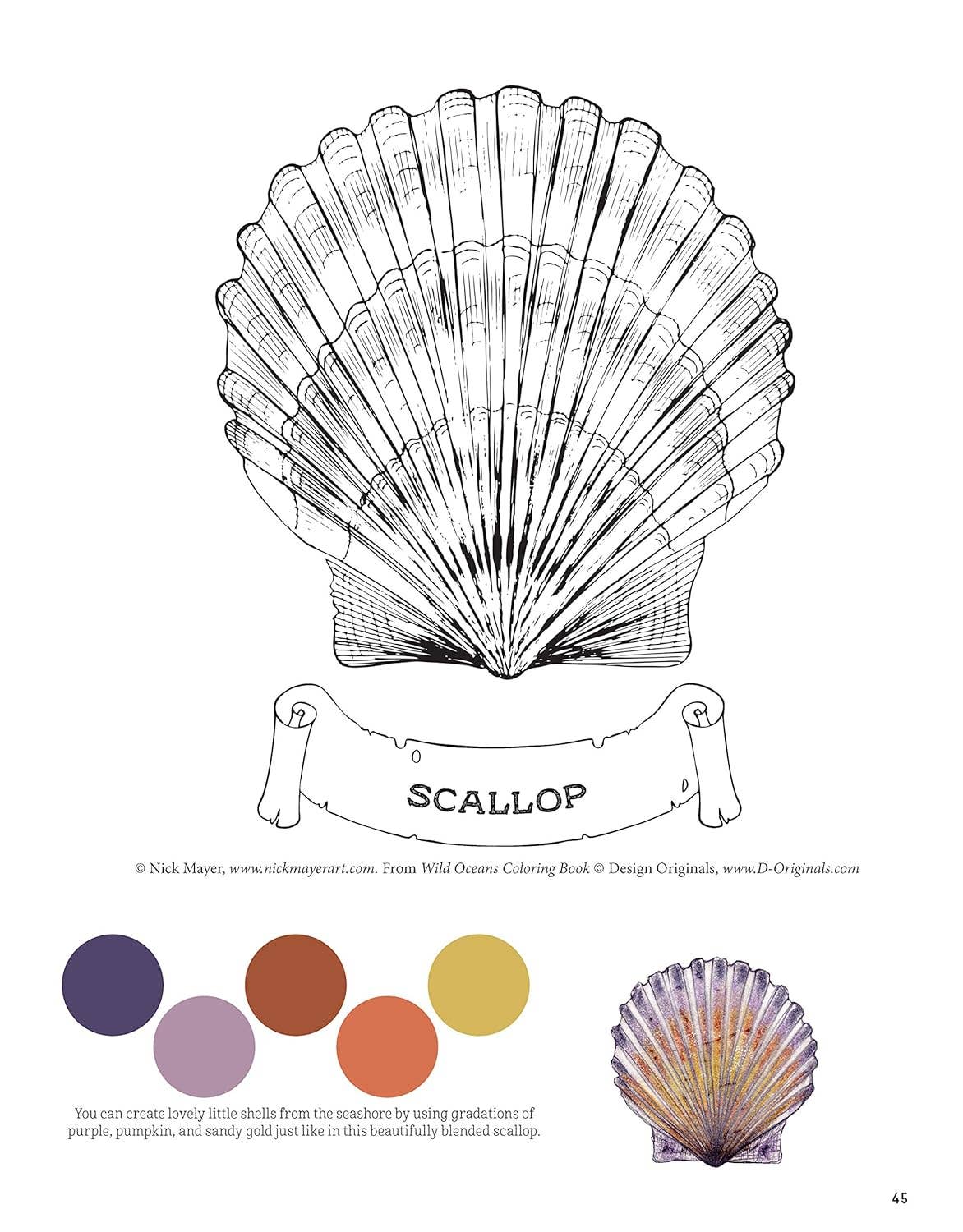 Fox Chapel Publishing - Vendita all'ingrosso Libro da colorare - Bambini e neonati - Libro da colorare Wild Oceans2