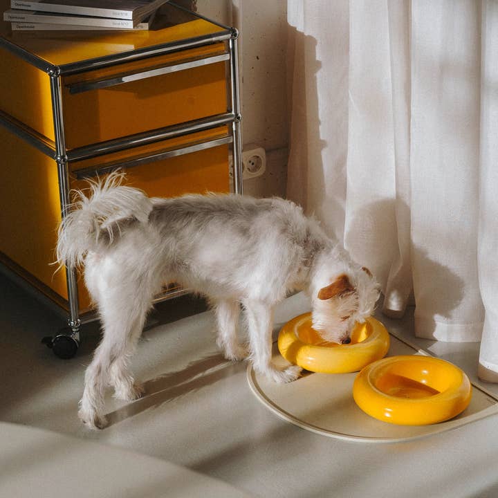 HotDog Pets - Wholesale Pet Bowl - Cat/Dog - Yellow ceramic dog feeder2