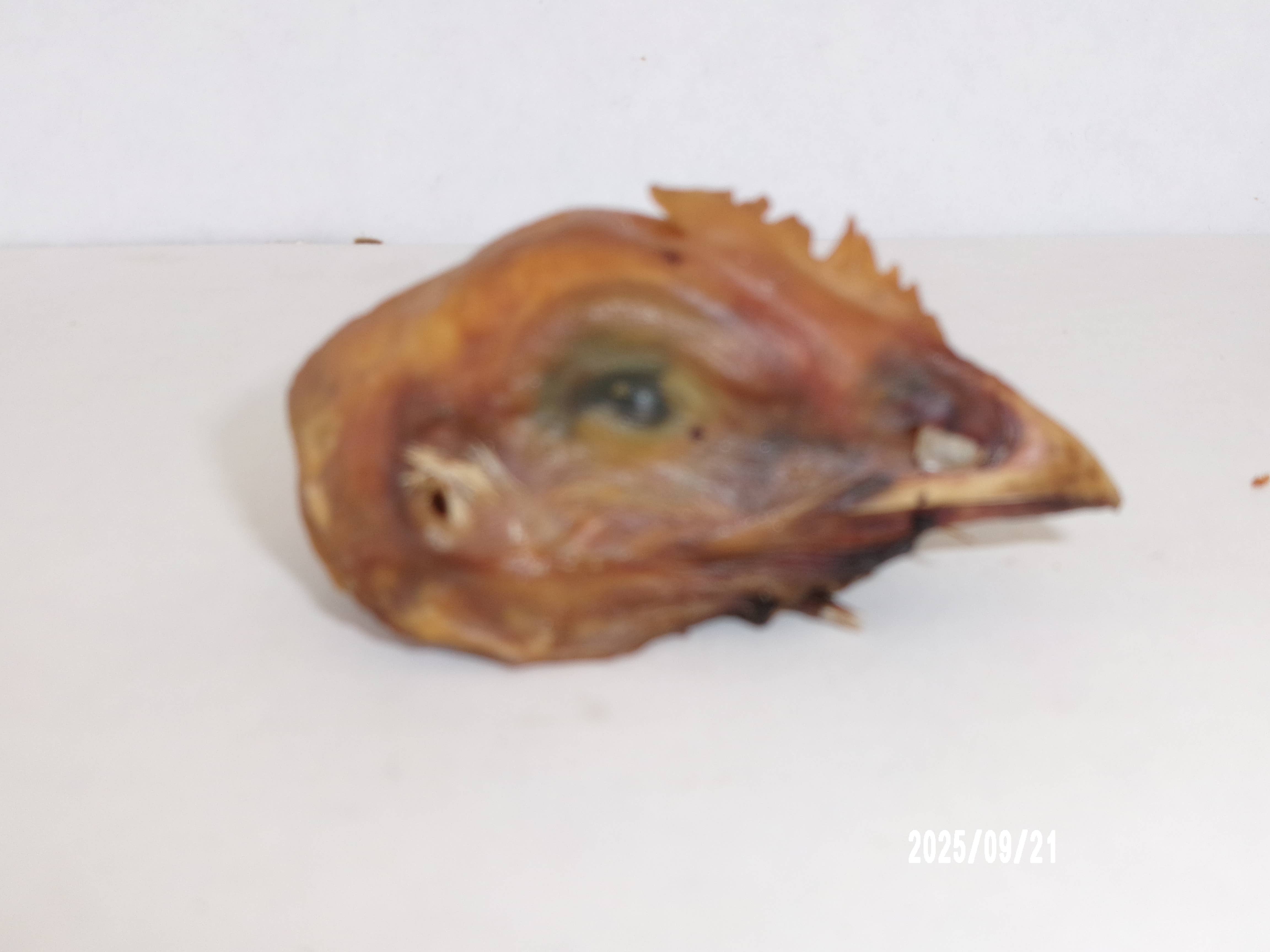 Mill Street Pet Treats - Wholesale Pet Treats - Dog - Chicken Heads Dehydrated/Bulk 4003