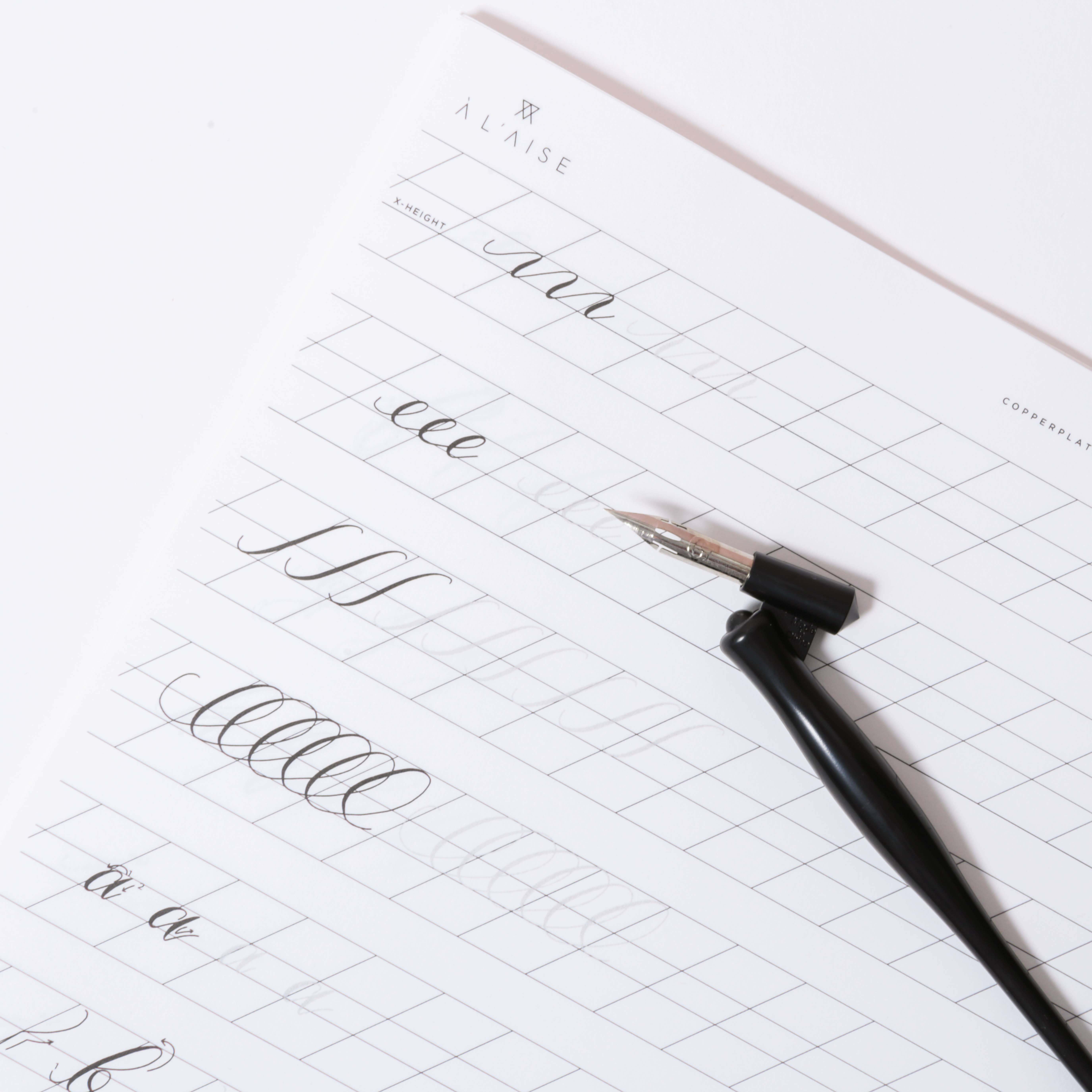 À L'AISE LTD - Wholesale Coloring & Activity Book - Adult - Modern Calligraphy Beginners Workbook4