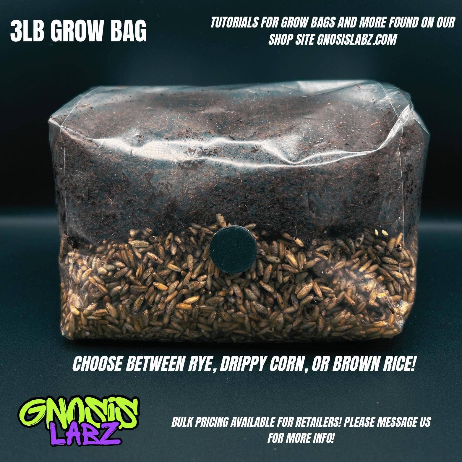 Gnosis Labz - Wholesale DIY Craft Kit - One Dozen All in One Mushroom Grow Kit Bags (3lbs) with Injection Port and Filter Patch!2