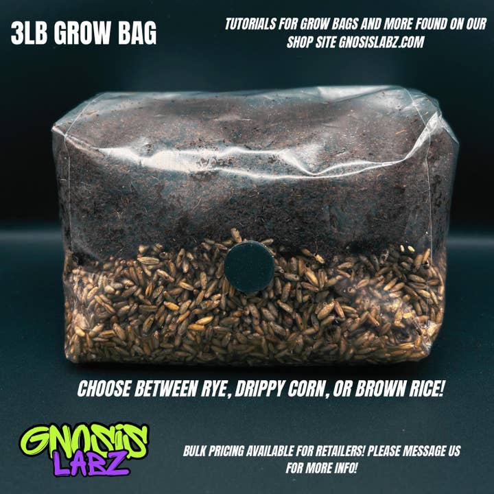 Gnosis Labz - Wholesale DIY Craft Kit - One Dozen All in One Mushroom Grow Kit Bags (3lbs) with Injection Port and Filter Patch!2