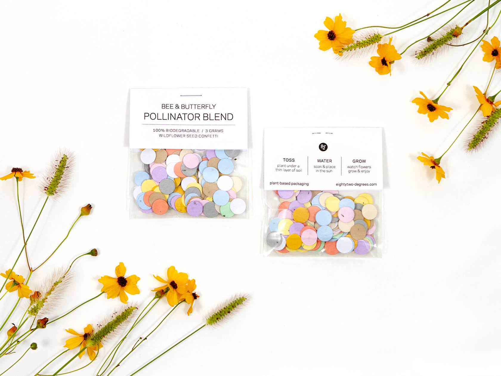Studio 82° - Wholesale Confetti - Wildflower Seed Confetti - Rainbow
