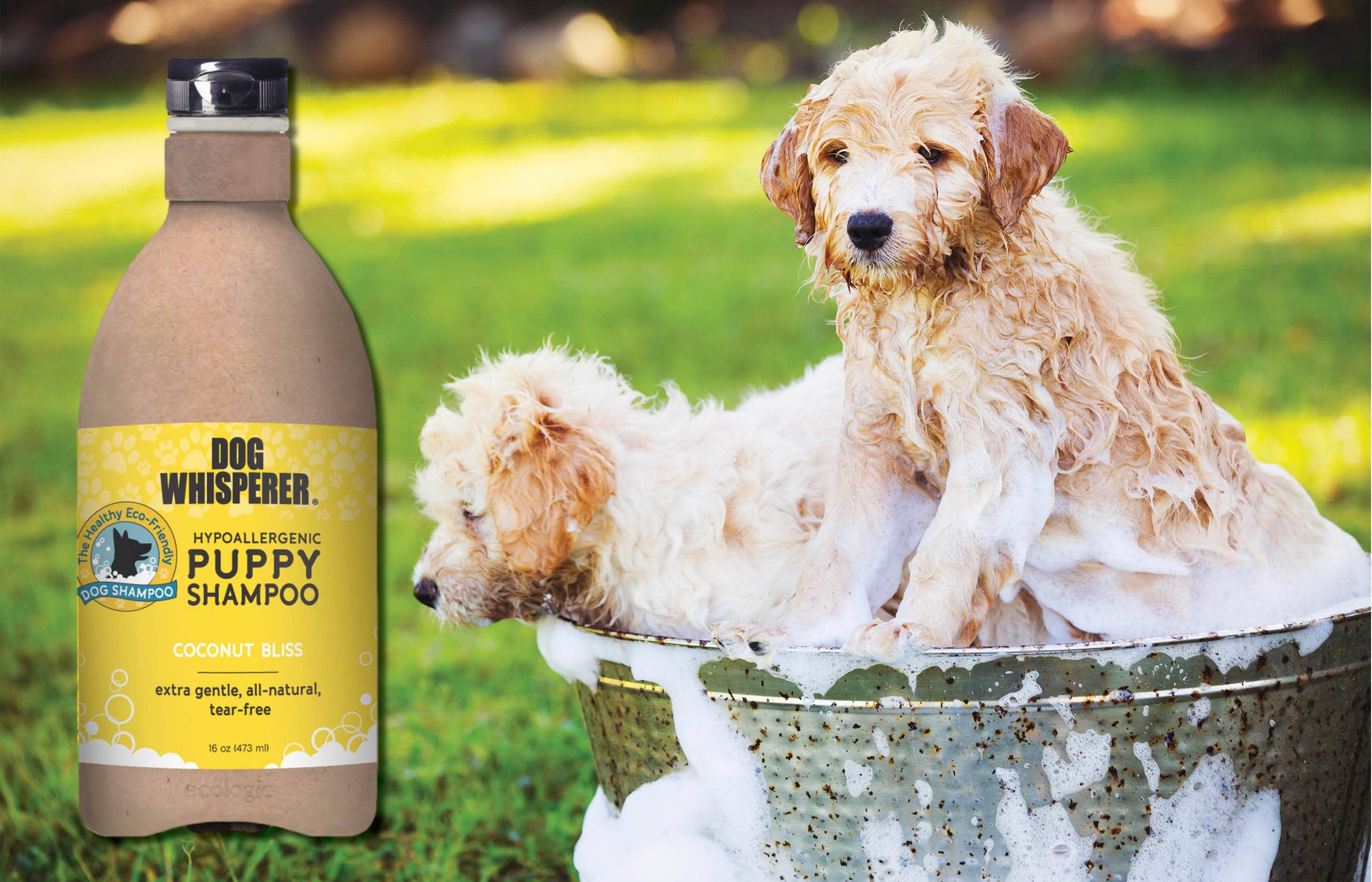 Wholesale Dog Whisperer Hypoallergenic Puppy Shampoo -16 oz for