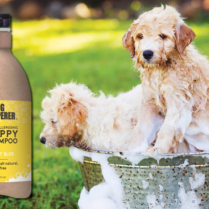 Wholesale Dog Whisperer Hypoallergenic Puppy Shampoo -16 oz for