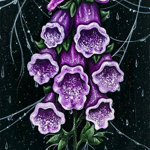 Foxglove Giclee Print for wholesale by Meagan Meli Illustration