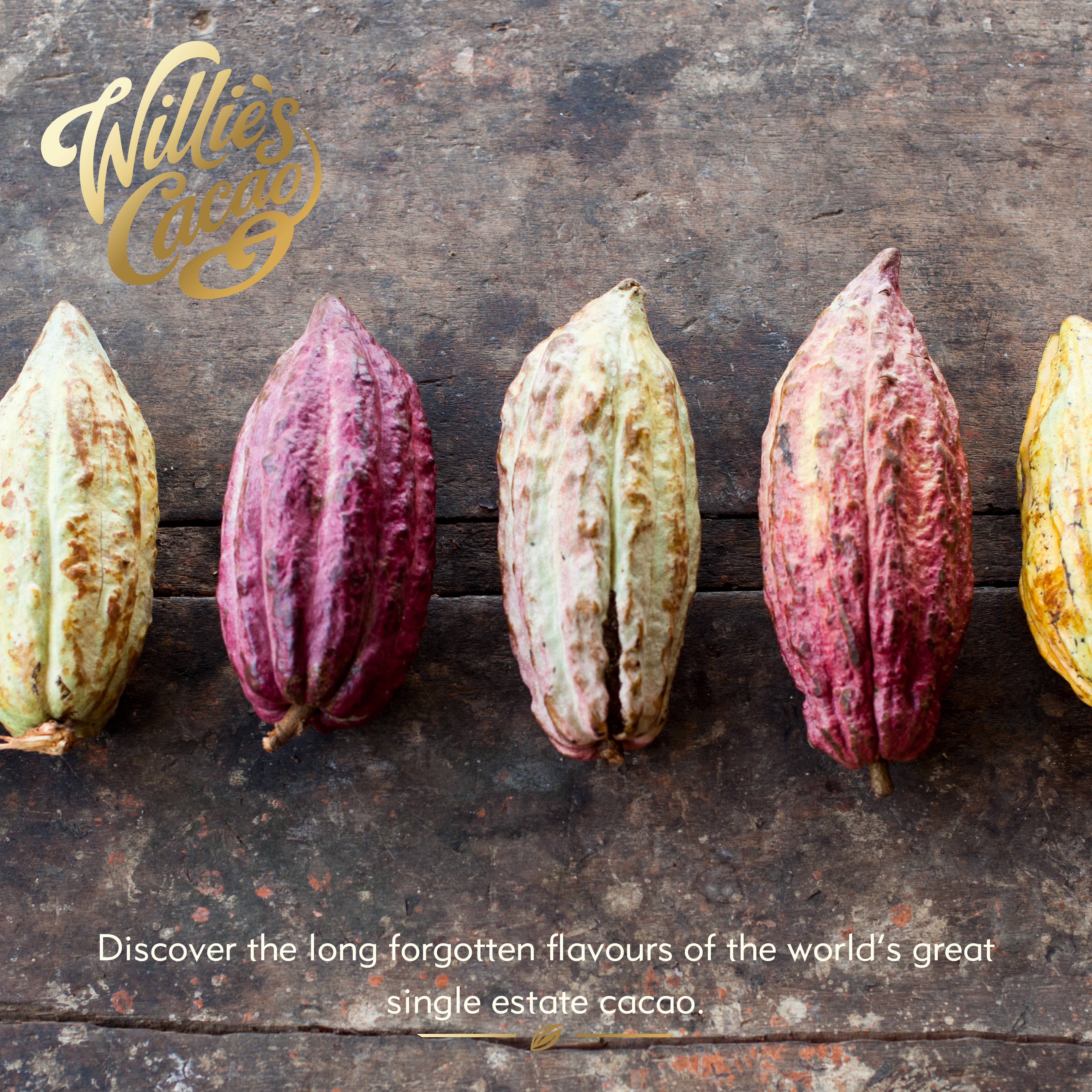 Willie's Cacao – wholesale Chocolate bar – Orange & Almond. 100% cacao. No Added Sugar. Vegan. 50g bar8