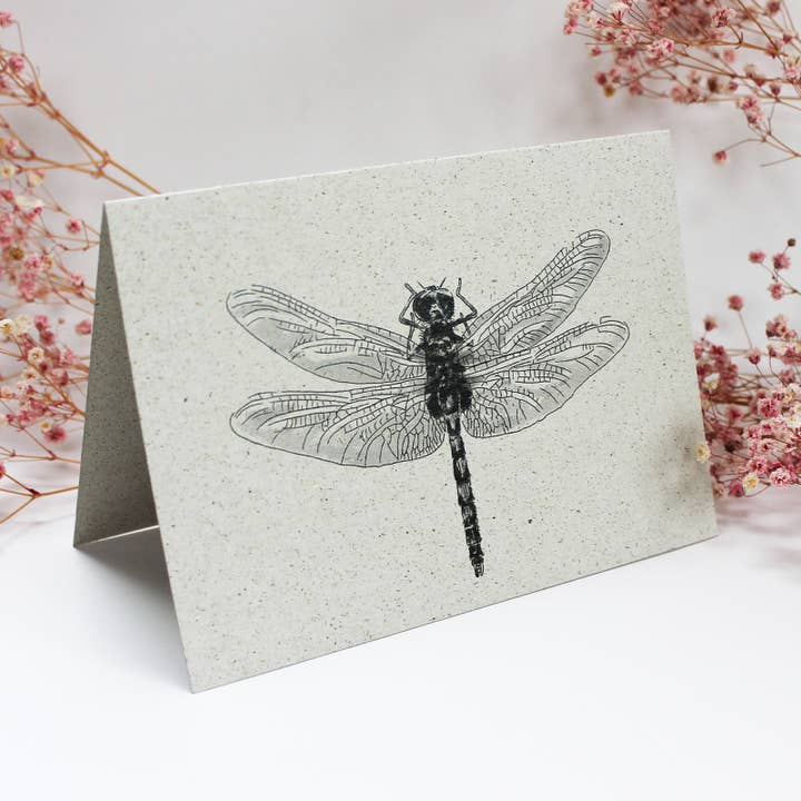 Biglietto pieghevole Dragonfly in carta erbosa per la vendita all'ingrosso da parte di NOA Papeterie