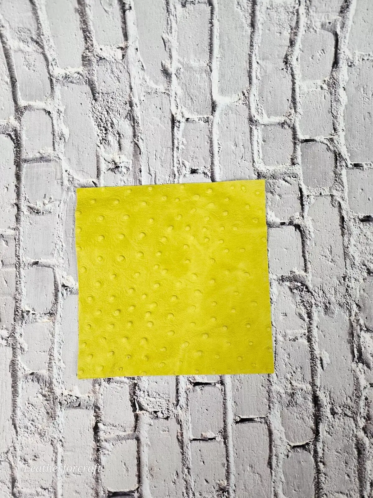 Leatherforcraft - Wholesale Craft Supplies - Ostrich Embossed Leather Scraps Pack Small Size3