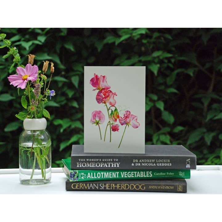 Biglietto di pisello dolce per la vendita all'ingrosso da parte di Nutmeg and Sage