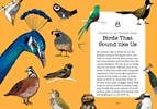 Hachette Book Group - Wholesale Humor - Bird Talk: Hilariously Accurate Ways to Identify Birds5