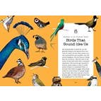 Hachette Book Group - Wholesale Humor - Bird Talk: Hilariously Accurate Ways to Identify Birds5