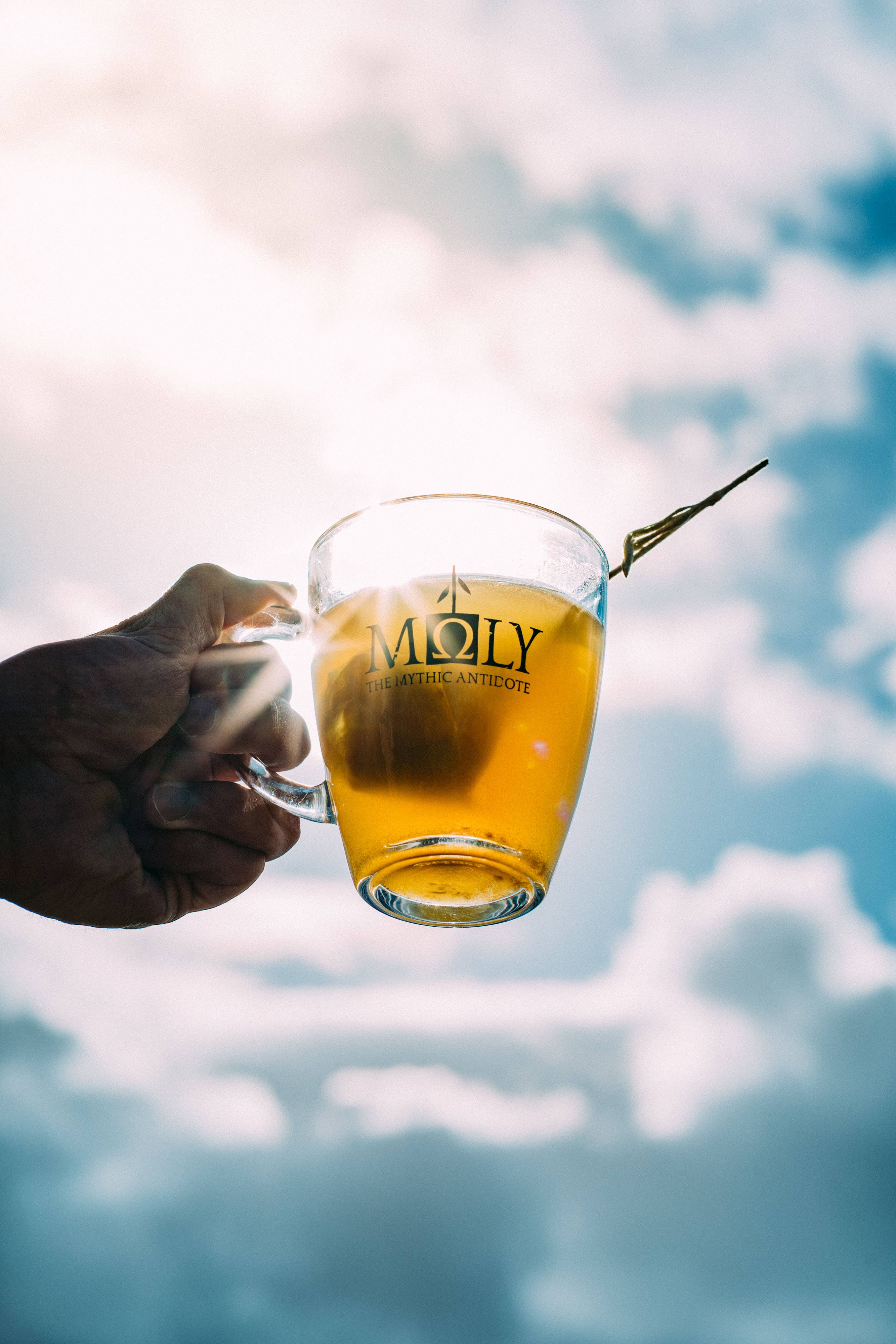 Moly the mythic antidote - Vendita all'ingrosso Tisane salutari e depurative - Tisana bio per la digestione con rametto di erbe6