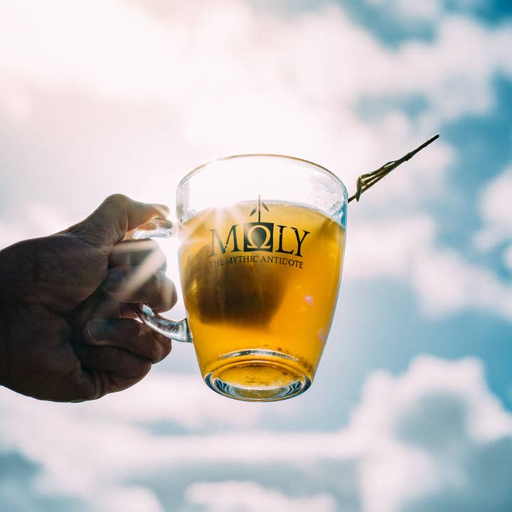 Moly the mythic antidote - Vendita all'ingrosso Tisane salutari e depurative - Tisana bio per la digestione con rametto di erbe6